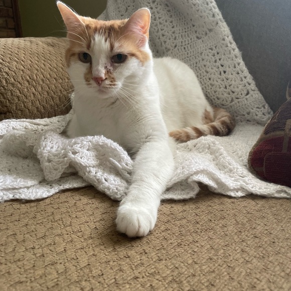 Live Share Show! - Picture 3 of 4